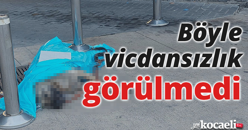 Böyle vicdansızlık görülmedi