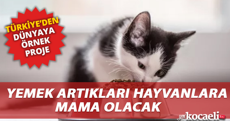 Yemek artıkları hayvanlara mama olacak