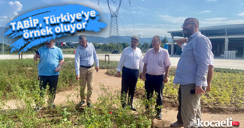 TABİP, Türkiye’ye örnek oluyor