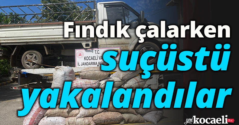 Fındık çalarken suçüstü yakalandılar