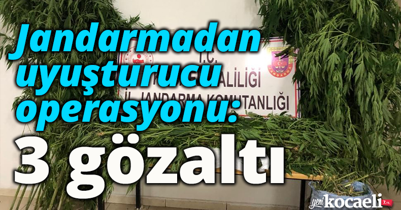 Jandarmadan uyuşturucu operasyonu: 3 gözaltı