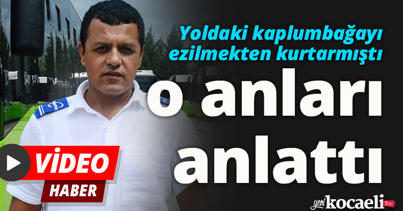 Yoldaki kaplumbağayı ezilmekten kurtarmıştı o anları anlattı