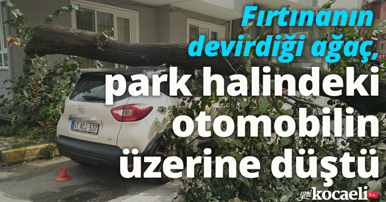 Fırtınanın devirdiği ağaç, park halindeki otomobilin üzerine düştü