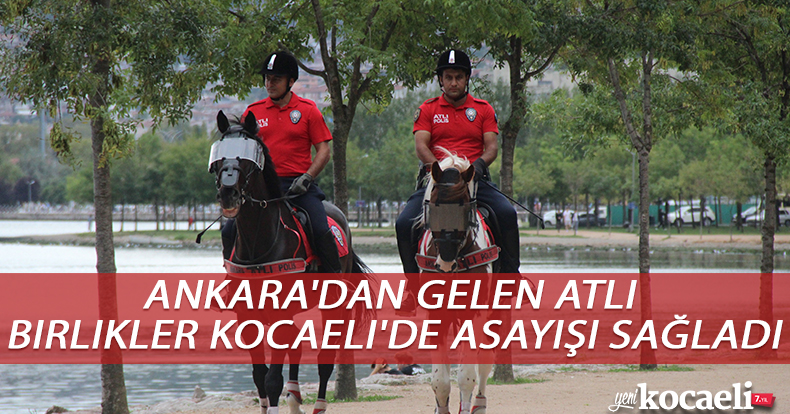 Ankara'dan gelen atlı birlikler Kocaeli'de asayişi sağladı