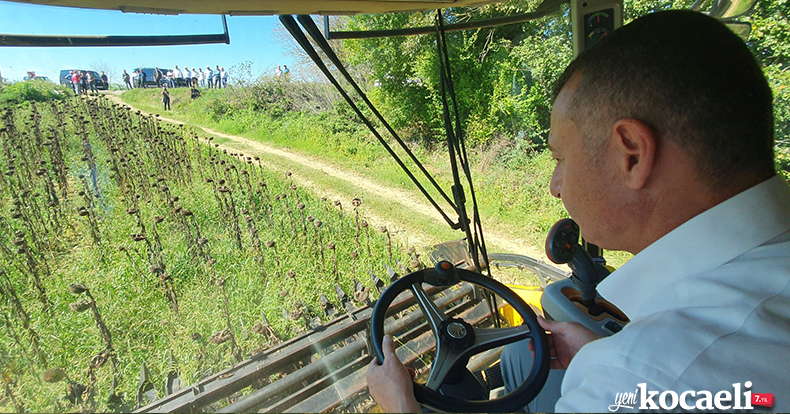 Başkan Büyükakın ayçiçeği hasadı yaptı   