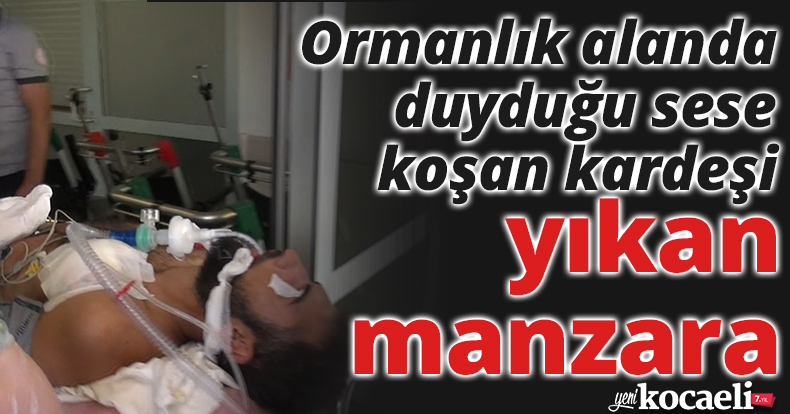 Ormanlık alanda duyduğu sese koşan kardeşi yıkan manzara