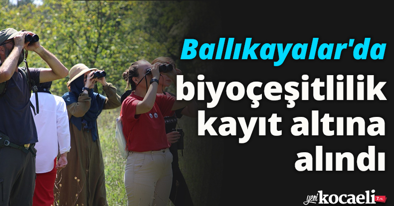 Ballıkayalar'da biyoçeşitlilik kayıt altına alındı