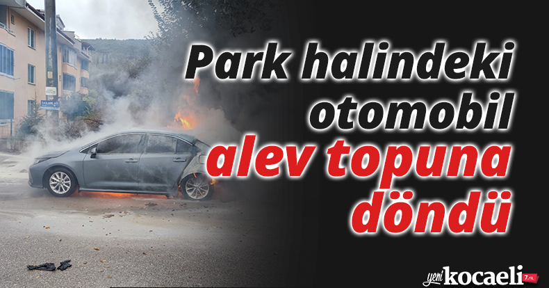 Park halindeki otomobil alev topuna döndü