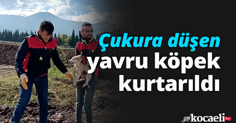 Çukura düşen yavru köpek kurtarıldı