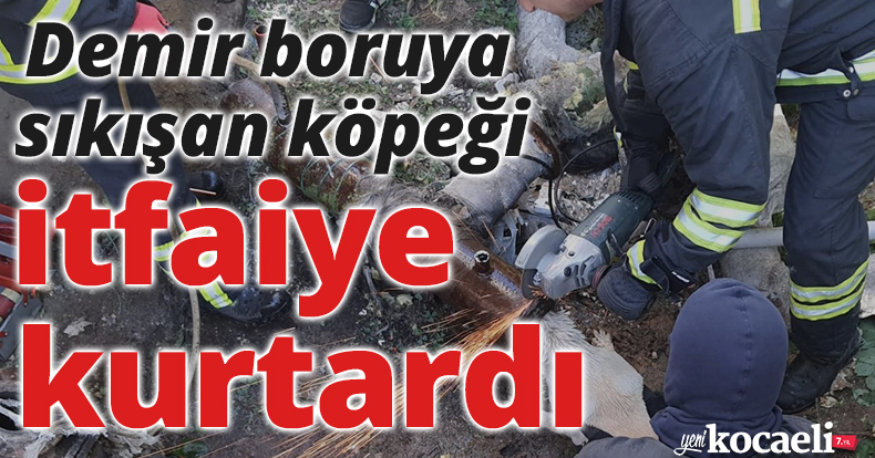 Demir boruya sıkışan köpeği itfaiye kurtardı