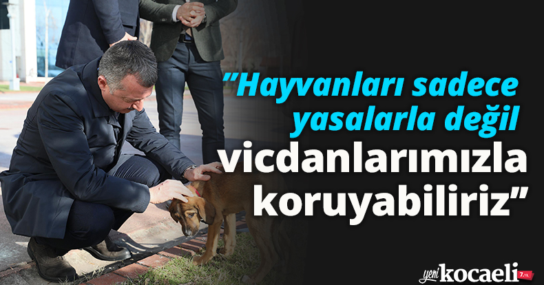 ’’Hayvanları sadece yasalarla değil vicdanlarımızla koruyabiliriz’’