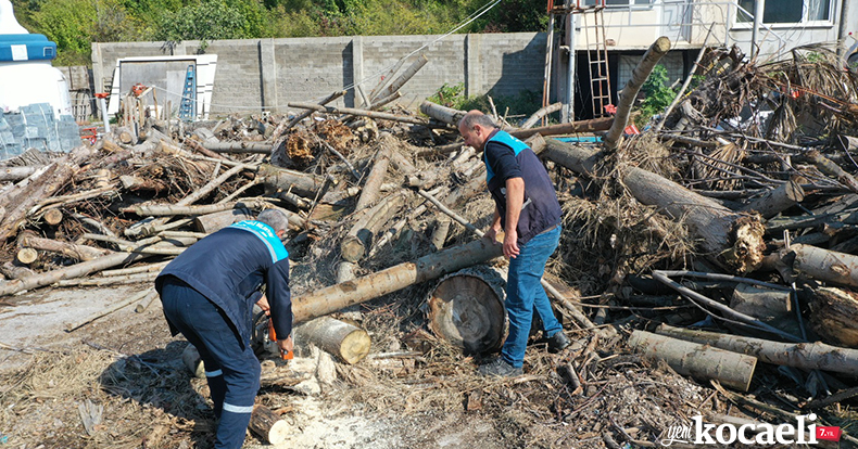 Budanan Ağaçlar İhtiyaç Sahiplerine Yakacak Odun Oluyor       