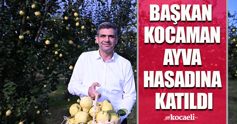 BAŞKAN KOCAMAN AYVA HASADINA KATILDI