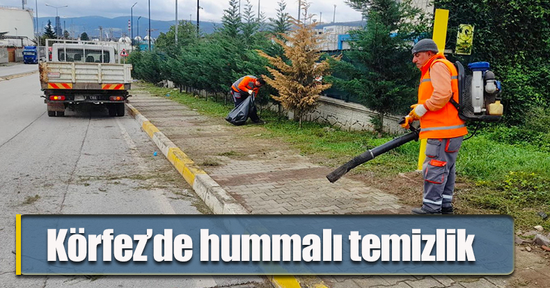 Körfez’de hummalı temizlik