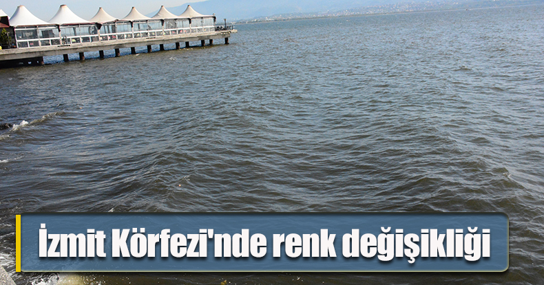 İzmit Körfezi'nde renk değişikliği
