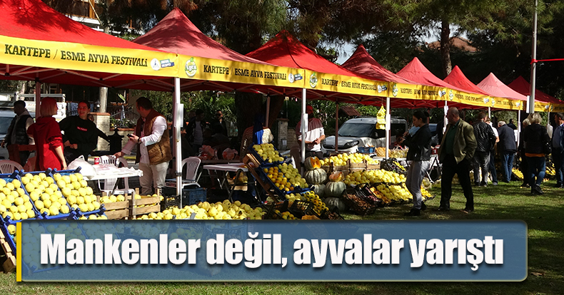 Mankenler değil, ayvalar yarıştı