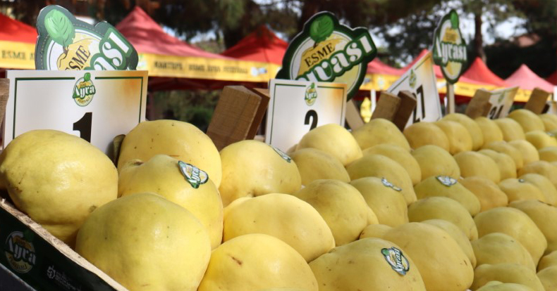 KARTEPE’DE TÜRKİYE’NİN EN GÜZEL AYVALARI YARIŞTI   