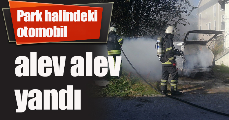 Park halindeki otomobil alev alev yandı