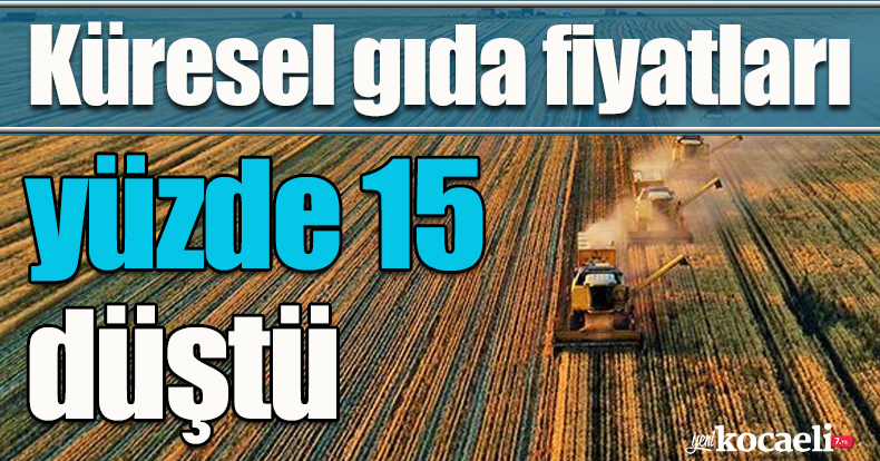 Küresel gıda fiyatları yüzde 15 düştü