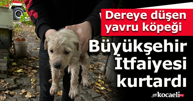 Dereye düşen yavru köpeği Büyükşehir İtfaiyesi kurtardı