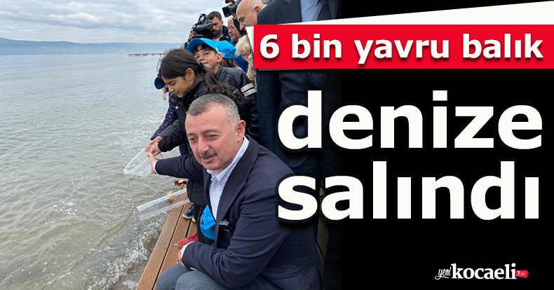 6 bin yavru balık denize salındı