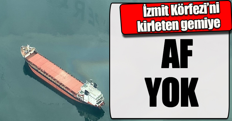İzmit Körfezi’ni kirleten gemiye af yok