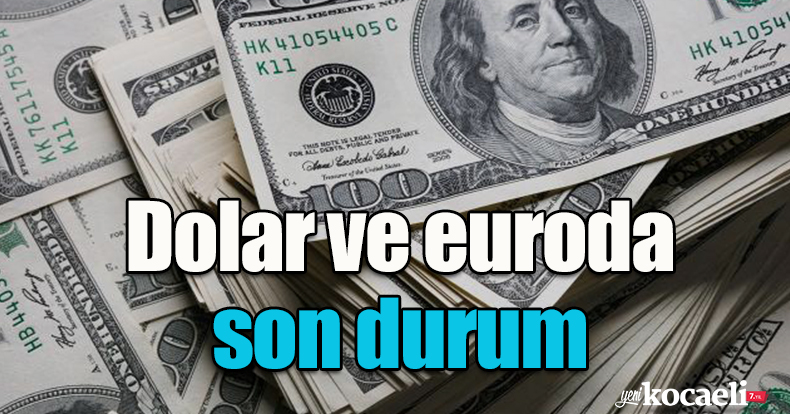 Dolar ve euroda son durum!