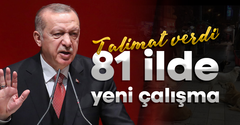 Cumhurbaşkanı Erdoğan talimat verdi! 81 ilde yeni çalışma