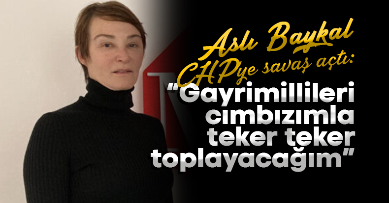 Aslı Baykal CHP'ye savaş açtı: Gayrimillileri cımbızımla teker teker toplayacağım