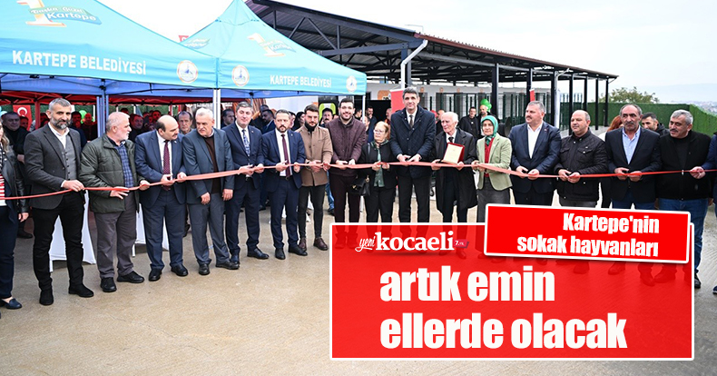 Kartepe'nin sokak hayvanları artık emin ellerde olacak