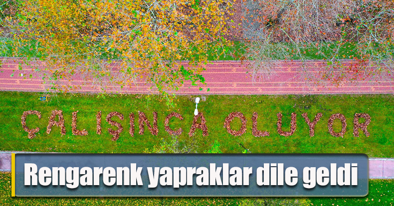 Rengarenk yapraklar dile geldi