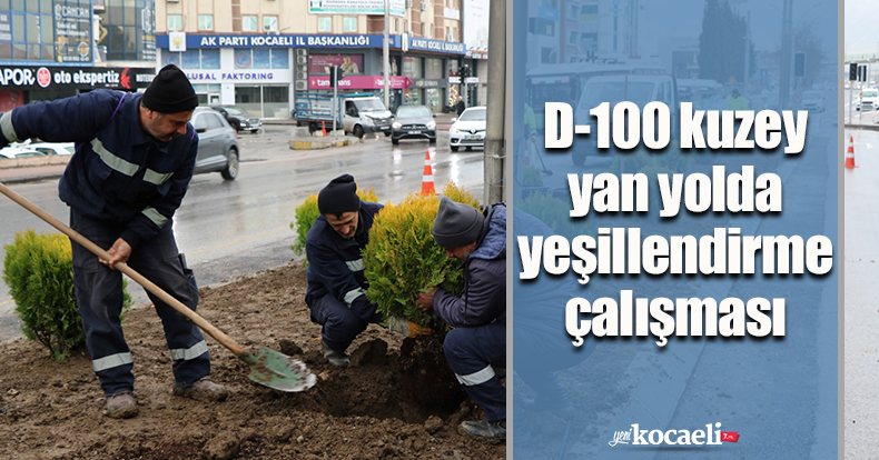 D-100 kuzey yan yolda yeşillendirme çalışması