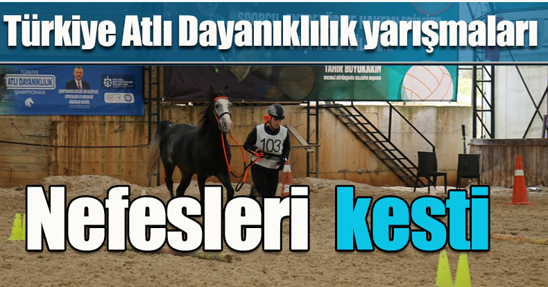 Türkiye Atlı Dayanıklılık yarışmaları nefesleri kesti