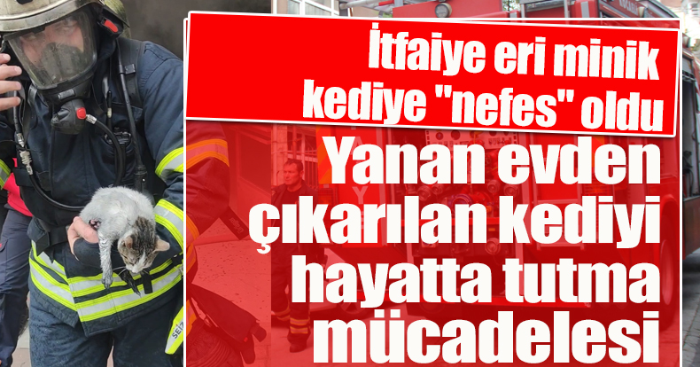 Yanan evden çıkarılan kediyi hayatta tutma mücadelesi