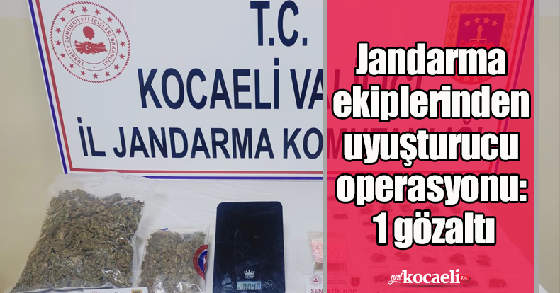 Jandarma ekiplerinden uyuşturucu operasyonu: 1 gözaltı