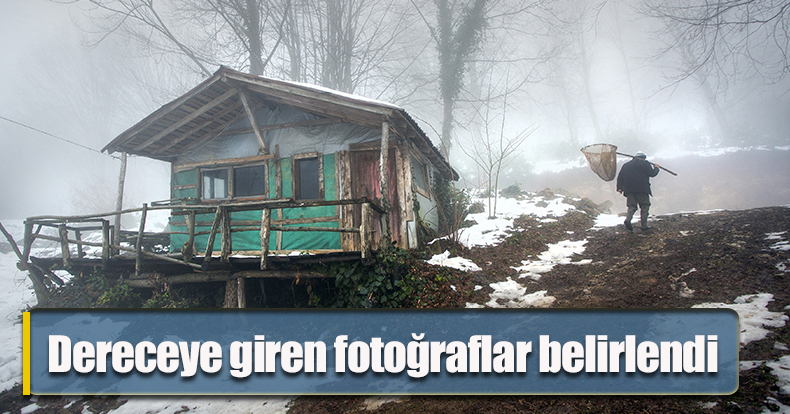 Dereceye giren fotoğraflar belirlendi 