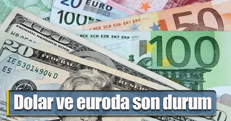 Dolar ve euroda son durum