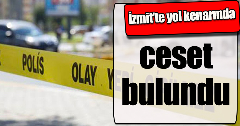 İzmit’te yol kenarında ceset bulundu