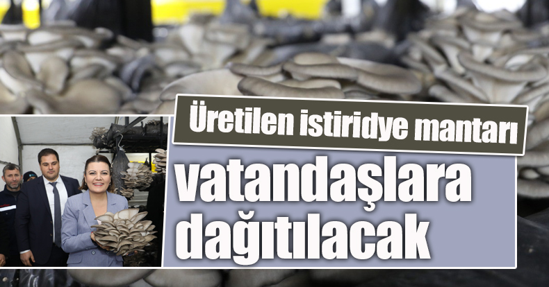 Üretilen istiridye mantarı vatandaşlara dağıtılacak