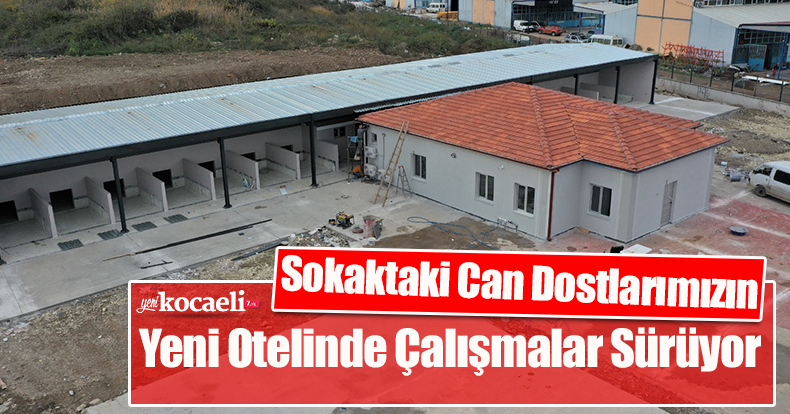 Sokaktaki Can Dostlarımızın Yeni Otelinde Çalışmalar Sürüyor