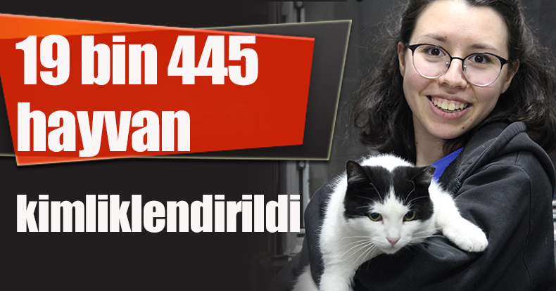 Kocaeli'de 19 bin 445 hayvanın kimliklendirildi