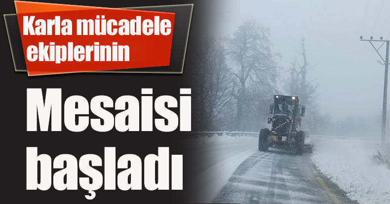 Karla mücadele ekiplerinin mesaisi başladı
