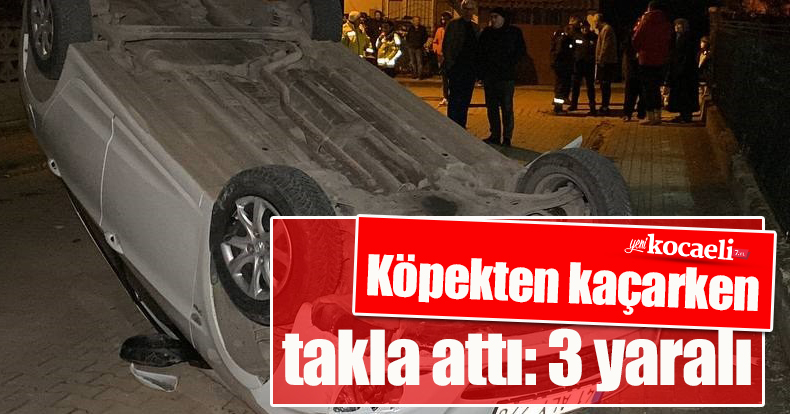 Köpekten kaçarken otomobiliyle takla attı: 3 yaralı
