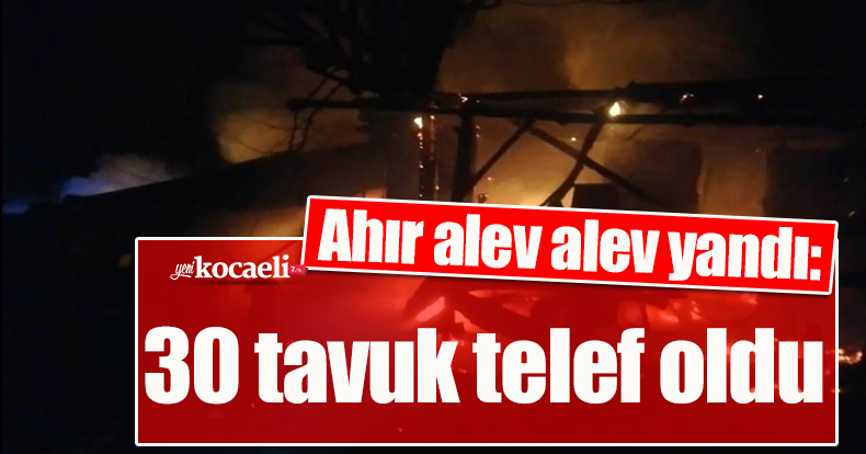 Ahır alev alev yandı: 30 tavuk telef oldu