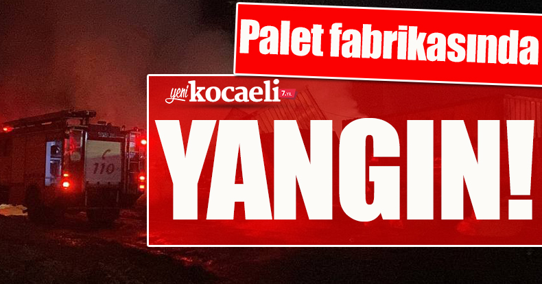 Palet fabrikasında yangın