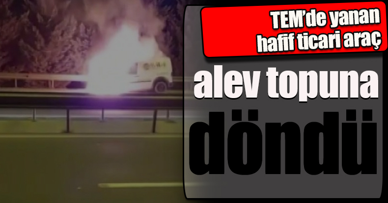 TEM’de yanan hafif ticari araç alev topuna döndü