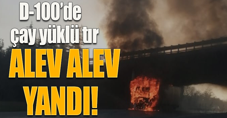 D-100’de çay yüklü tır alev alev yandı