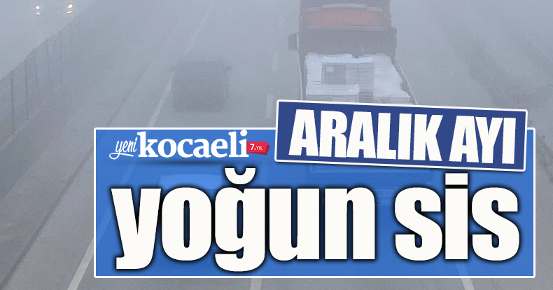 Kocaeli'de yoğun sis