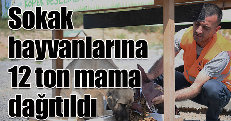 Sokak hayvanlarına 12 ton mama dağıtıldı