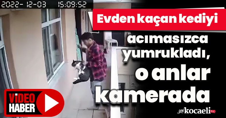 Evden kaçan kediyi acımasızca yumrukladı, o anlar kamerada